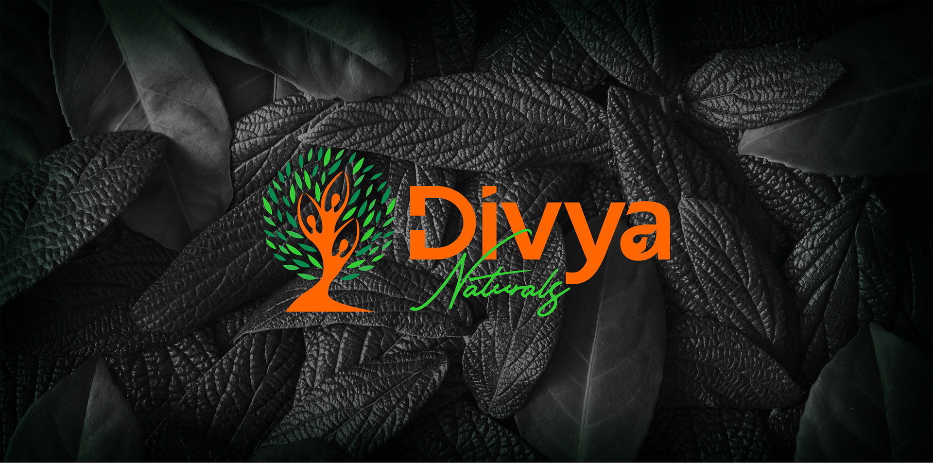 Logo Designs